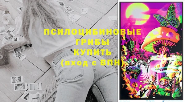 МДПВ Алзамай